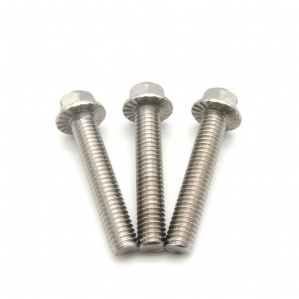 Black stainless steel hex screws and bolts 